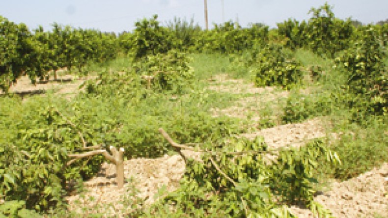 وساطات‭ ‬مشبوهة‭ ‬لتسوية‭ ‬فضيحة‭ ‬تجزئة‭ ‬الـ61‭ ‬قطعة‭ ‬أرضية‭ ‬بسطيف