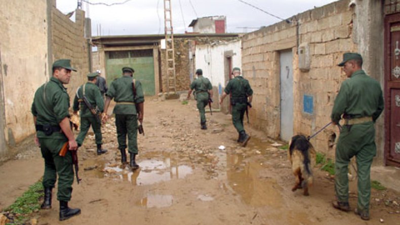 تائبون يفرون من الجماعات الإرهابية بعد تكليفهم بجلب المؤونة