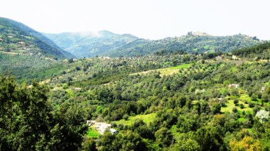 Jijel: 8 people held captive and filmed with digital cameras by terrorists