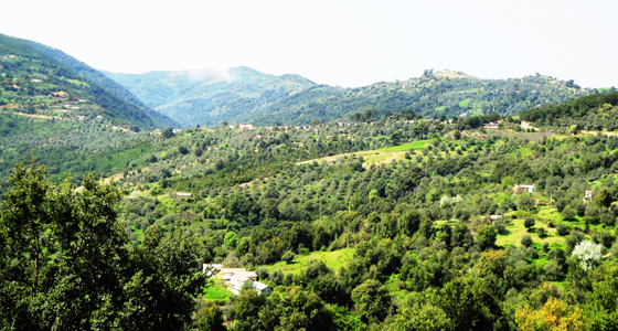 Jijel: 8 people held captive and filmed with digital cameras by terrorists