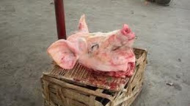 Belgique : tête de porc dans une mosquée