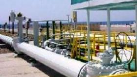 “الجزائريون سيفكرون مرتين قبل العودة إلى العنف”