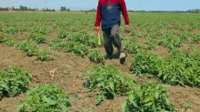 بن عيسى.. متابعات قضائية في حق كل من يحوّل الأراضي الزراعية عن طابعها