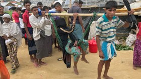 ذبحٌ.. إغراق في المستنقعات وقطع للأعضاء التناسلية!