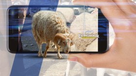 أسواق ماشية إلكترونية لاقتناء أضحية العيد