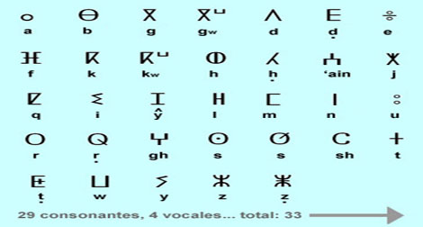 Décision en projet pour la promotion et l’unification de transcription de tamazigh