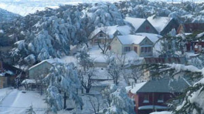 اللجنة الاولمبية الجزائرية تطالب بإعادة تهيئة المركز الرياضي بتكجدة