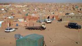 تقرير نرويجي:  الصحراء الغربية بلد محتل وشعب مرحل