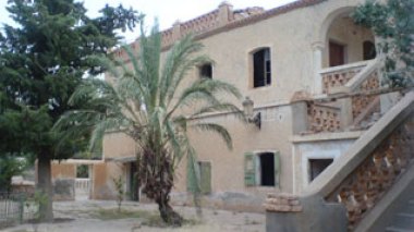 World cultural heritage threatened by looters