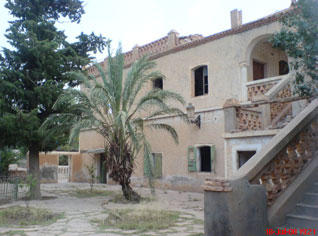 World cultural heritage threatened by looters