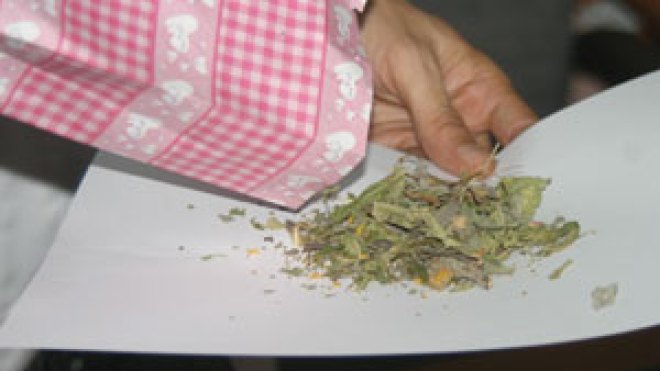 أعشاب طبيعية وآلات حديثة لعلاج المدمنين على المخدرات