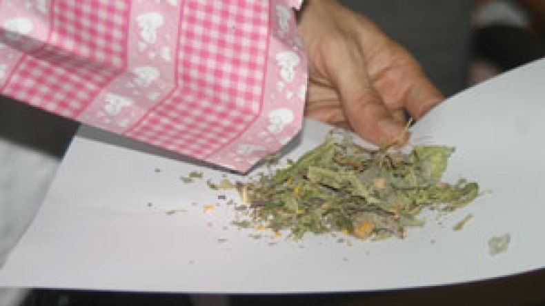 أعشاب طبيعية وآلات حديثة لعلاج المدمنين على المخدرات