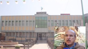 شاب يسكب “الديليون” على “مير” ويُشعل فيه النار!