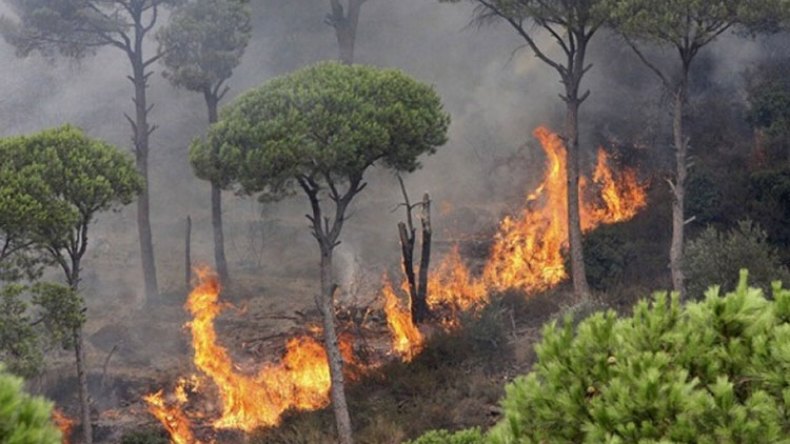 أين هو الشعب؟