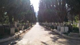 الدرك يحقق في تشييد فيلا فخمة فوق مقبرة بتلمسان