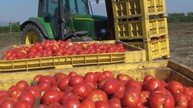 مؤسسة “داي” لإنقاذ المشاريع الفلاحية بمنطقة “البسباس”