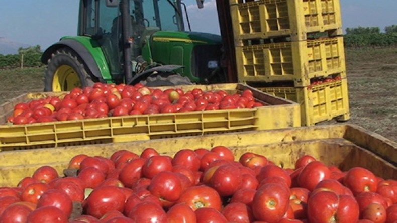 مؤسسة “داي” لإنقاذ المشاريع الفلاحية بمنطقة “البسباس”