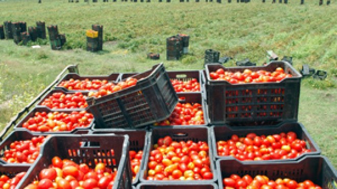 الجزائريون‭ ‬يستهلكون‭ ‬خضرا‭ ‬وفواكه‭ ‬ارتوت‭ ‬بالمياه‭ ‬القذرة