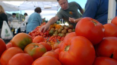 Algerian government supports industrial tomatoes production