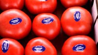 The Ministry of Agriculture to import 130.000 tons of tomatoes and 7 tons of meat in Ramadan