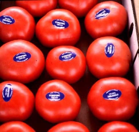 The Ministry of Agriculture to import 130.000 tons of tomatoes and 7 tons of meat in Ramadan