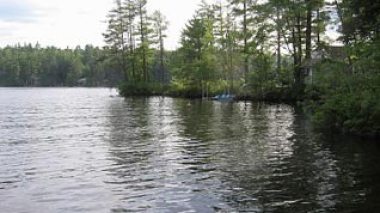 Illegal deal defaces haven of nature in Al Kala Park east of Algeria