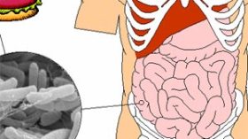 تسجيل 3500 حالة تسمم خلال 2007