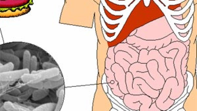 تسجيل 3500 حالة تسمم خلال 2007