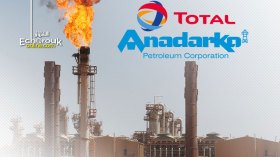 New Hydrocarbons Law May Prevent Total’s Acquisition Of Anadarko’s Assets