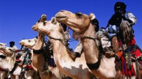 Algeriaâ€™s Touareg better than counterparts in neighbouring states