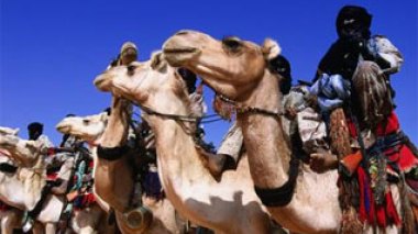 Algeriaâ€™s Touareg better than counterparts in neighbouring states