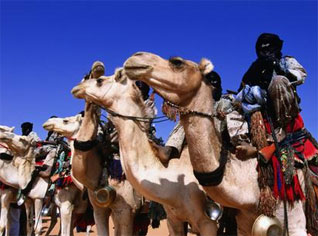 Algeriaâ€™s Touareg better than counterparts in neighbouring states