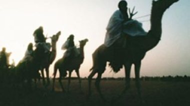 Algeria persuades 500 Touareg rebels lay down weapons in a special ceremony