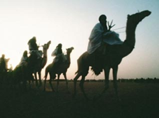 Algeria persuades 500 Touareg rebels lay down weapons in a special ceremony