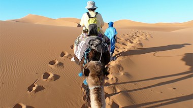 Algeria Loses $ 3 Billion Due To Weak Tourism Services