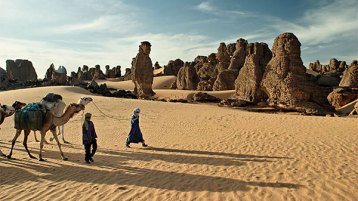 السائح النائح