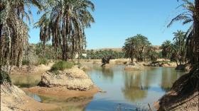 Algeria home to the African Tourist Organization