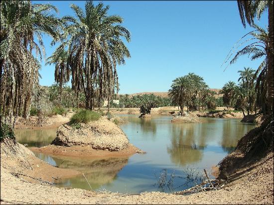 Algeria home to the African Tourist Organization