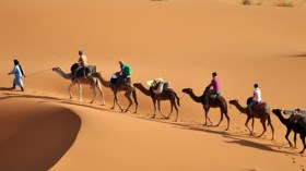 تجميد 10 وكالات سياحية بالعاصمة خلال 8 أشهر