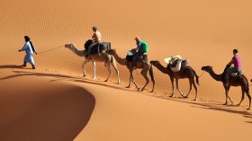 120 ألف سائح جزائري و3 آلاف أجنبي بأدرار