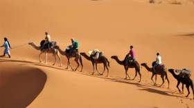 وزارة السياحة تراهن على تطوير السياحة الصحراوية