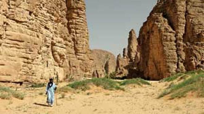 شركات  السياحة  الأجنبية  تلغي  الصحراء  الجزائرية  من  أجندتها