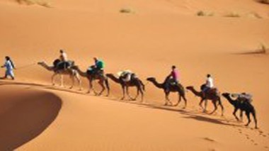 Tourisme : renforcer le partenariat avec les banques pour promouvoir les projets d’investissement