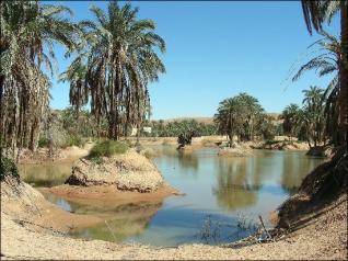 L’Organisation Mondiale du Tourisme choisit l’Algérie comme site africain des centres  de formation et de qualification