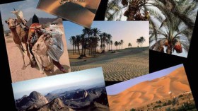 الجزائر تشارك في الطبعة الـ34 للمعرض الدولي للسياحة بإسبانيا