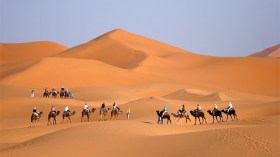 انطلاق السّياحة الصحراوية مُنتصف أكتوبر ووكالات السّفر تطلق عروضها