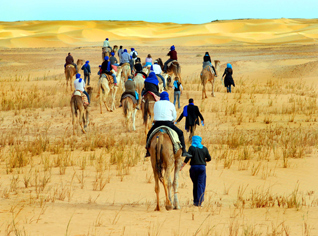 Algerian travel agencies to boycott Egypt and shift focus on southern Algeria