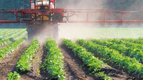 كيف نحمي المنتج الوطني ونحن لا ننتج؟