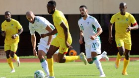 المصريون يعترفون بقوة “الخضر”.. ويشيدون ببلماضي ومحرز