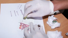 تفكيك شبكة دولية مختصة في تزوير الأوراق النقدية بغرداية